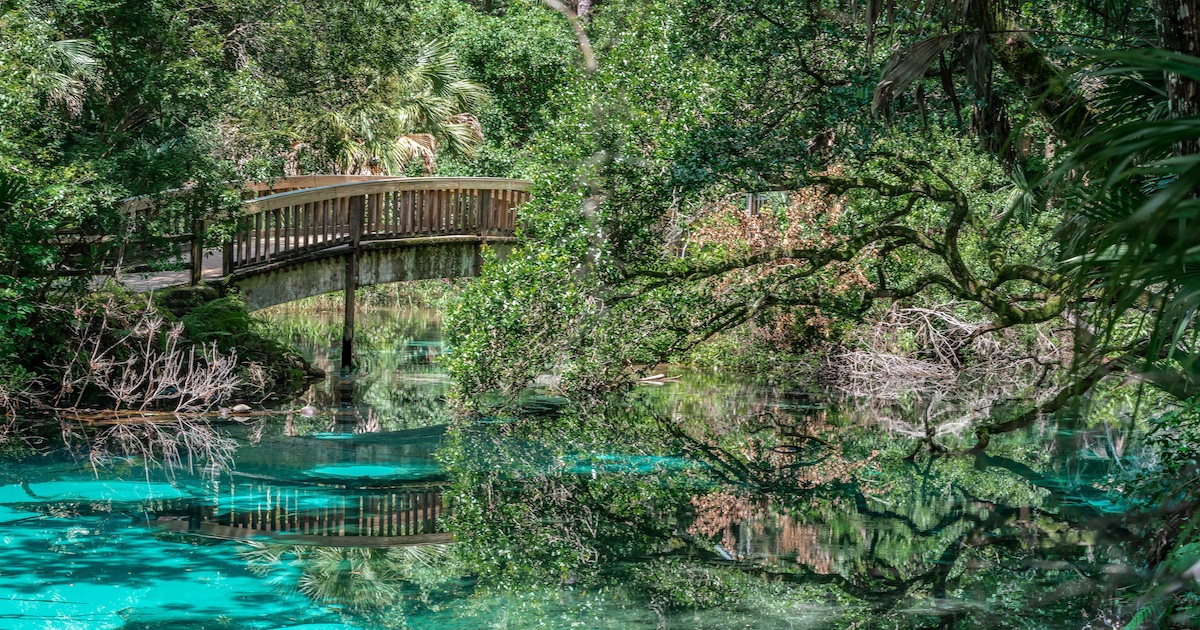 15 Hidden Nature Spots In The U S That Somehow Remain Secret Fern Hammock Springs Fl 