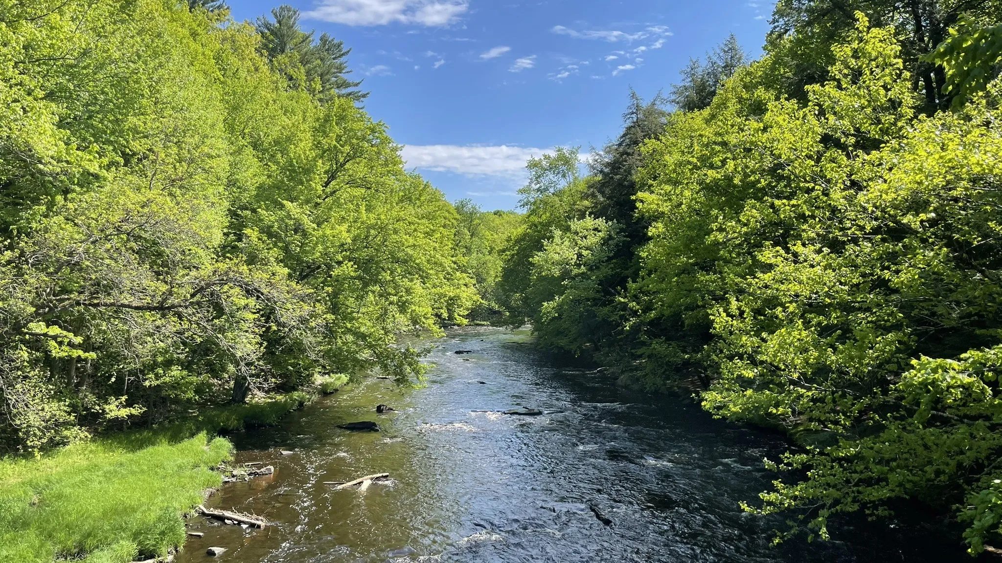 Quiet Hiking Trails In Wisconsin 5 Peaceful Parks And Nature Escapes Chrysta Mulry Edited 
