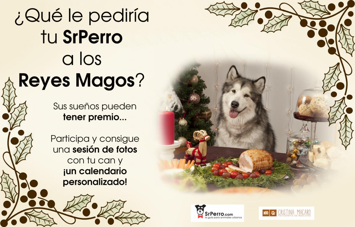 Quieres Un Calendario Personalizado Con Fotos De Tu Perro Echale Imaginacion Navidena Srperro La Guia Para Animales Urbanos