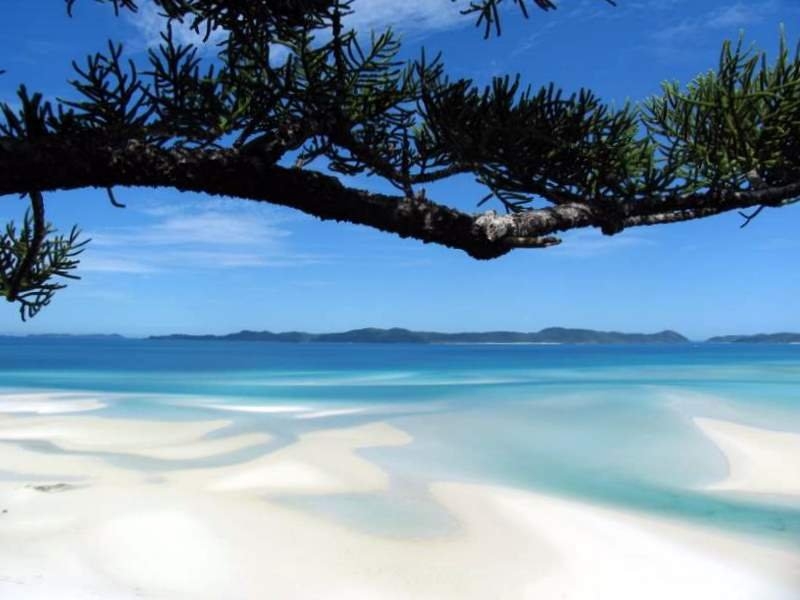 And then there's that iconic, 4.5km of whitehaven beach. Whitehaven Beach Beach Travel Whitehaven Beach Beach Vacations Travel Beach