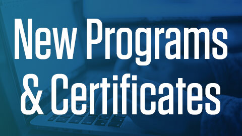 Discover Swu - Gradient Pictures - Modern 4K Collection