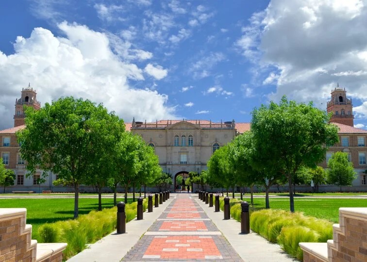 24 Faculty opportunities | Texas Tech 