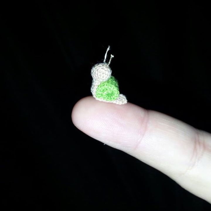 tiny snail