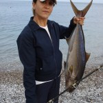 AKYA AVI NASIL YAPILIR