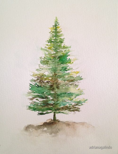 5 Pine, tree 5, 21 x 15 cm. Sold