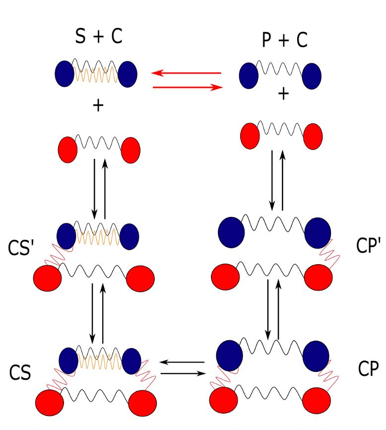 References Adrien Berard Website - Best Gradient Designs in Ultra HD