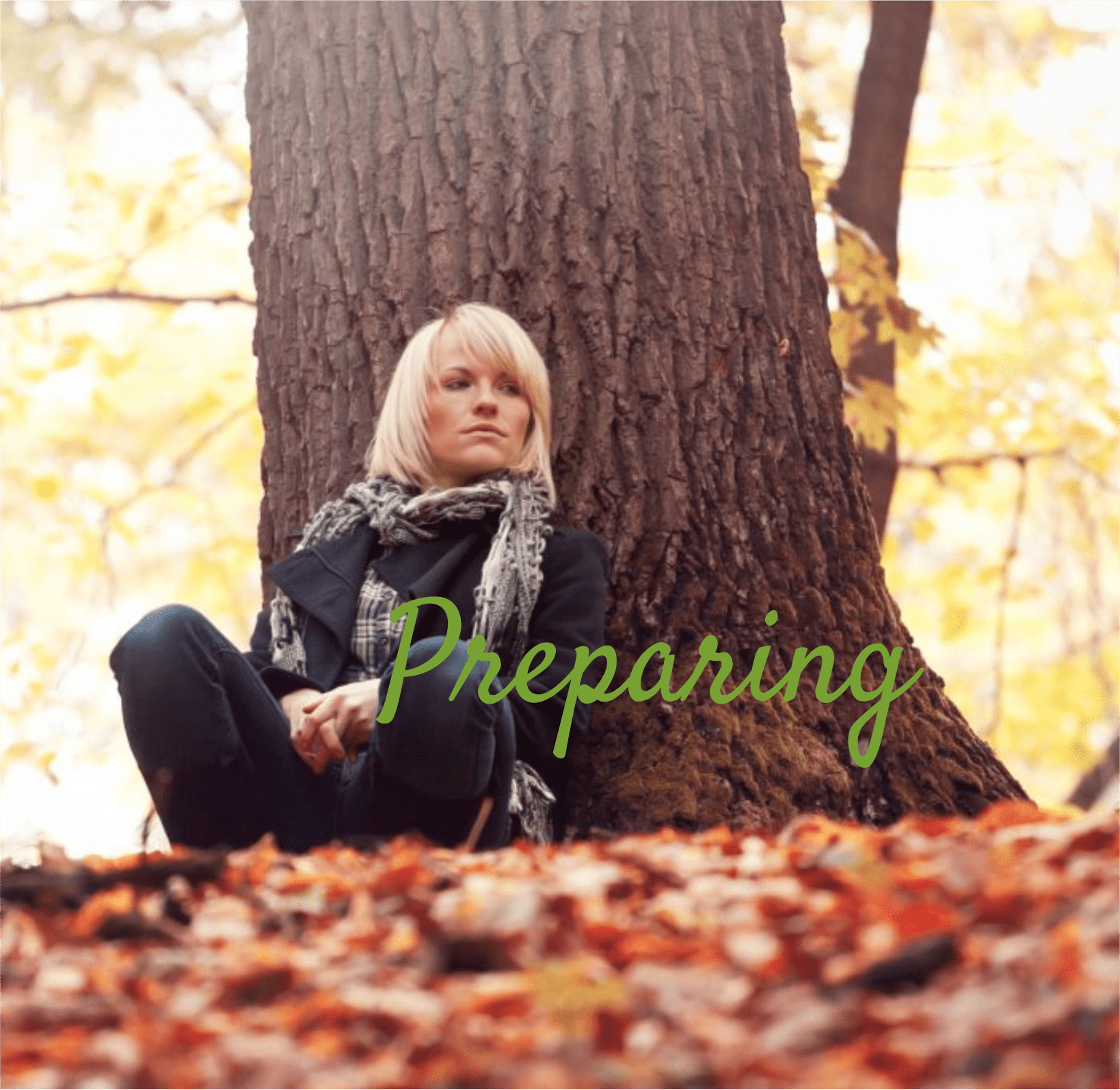 preparing for divorce