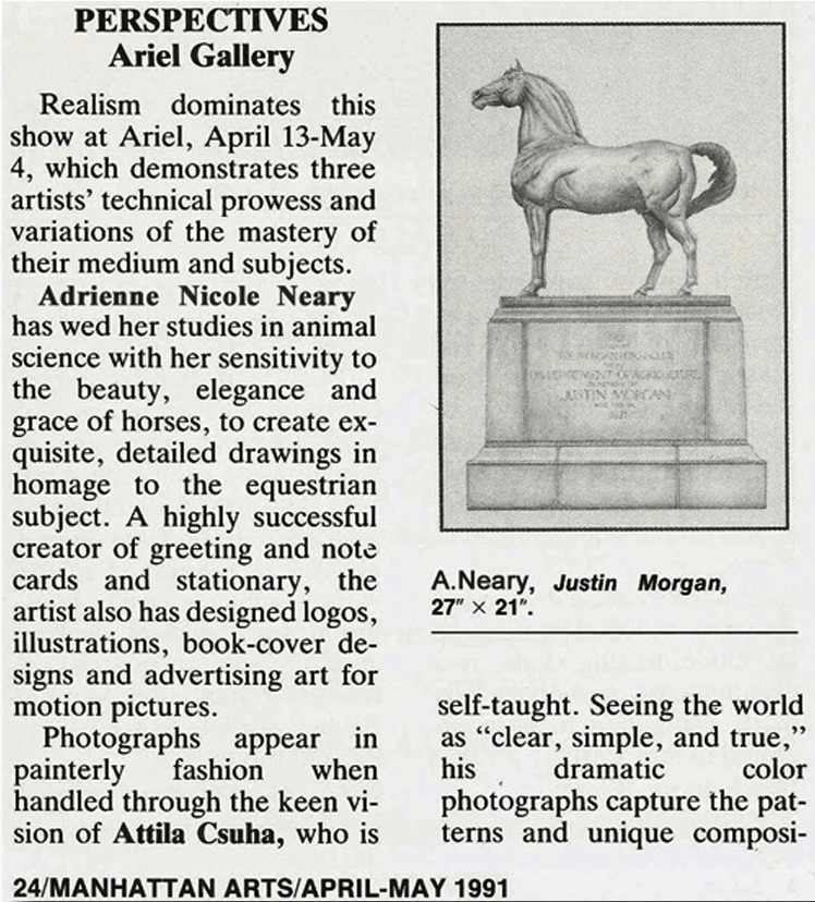 ariel gallery3.webp