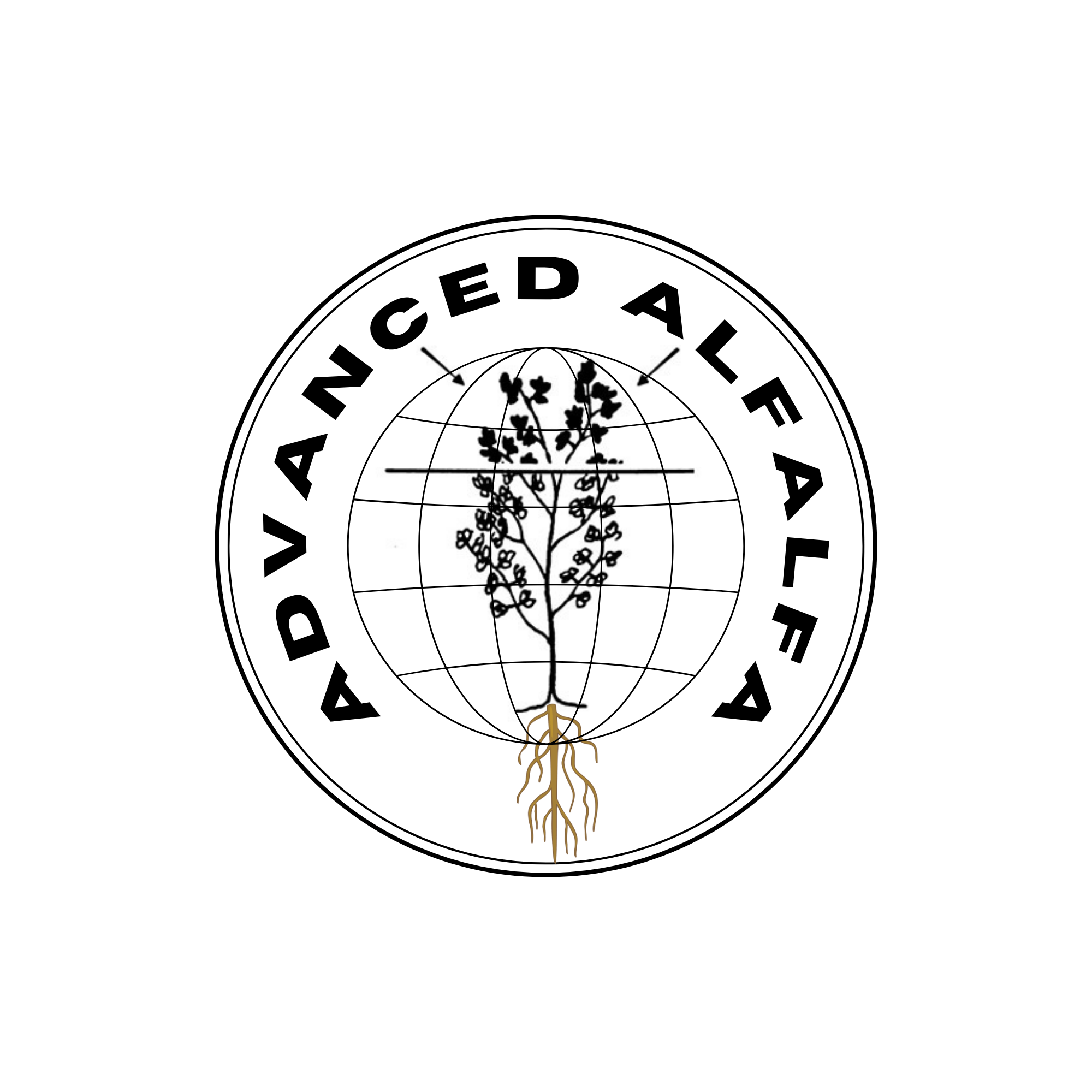 Advanced Alfalfa