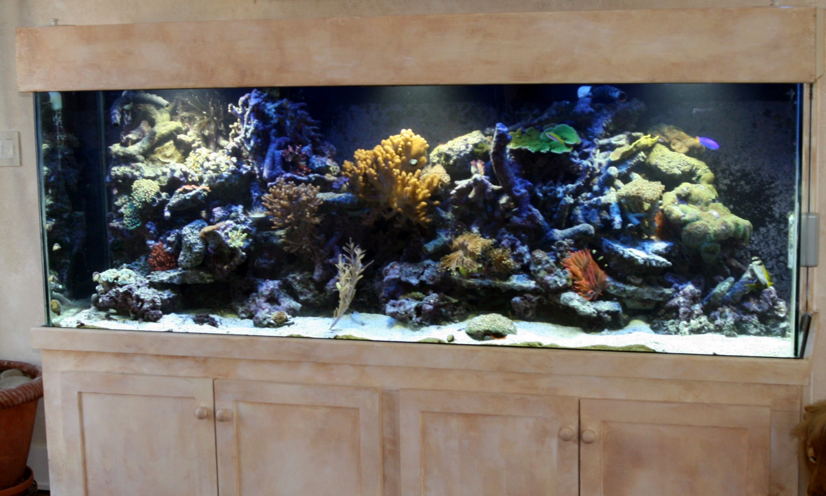 Gallery Advanced Aquatic Specialists