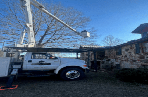 adv tree projects 2