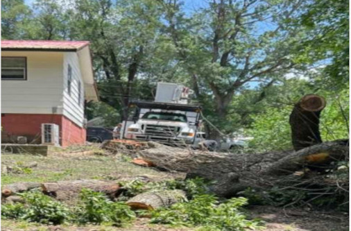adv tree projects 3.jpg