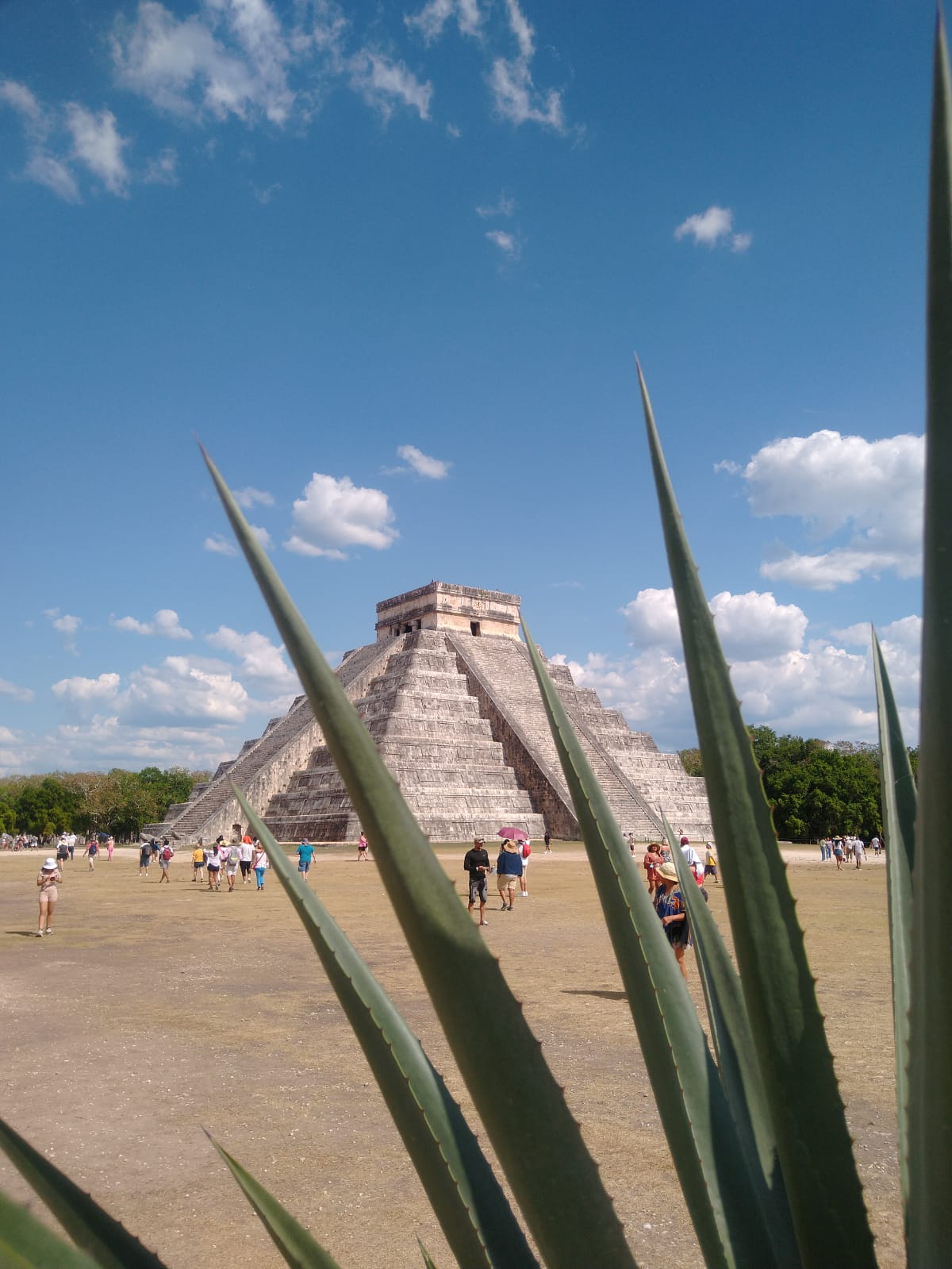 Fishing Boats in Cancun