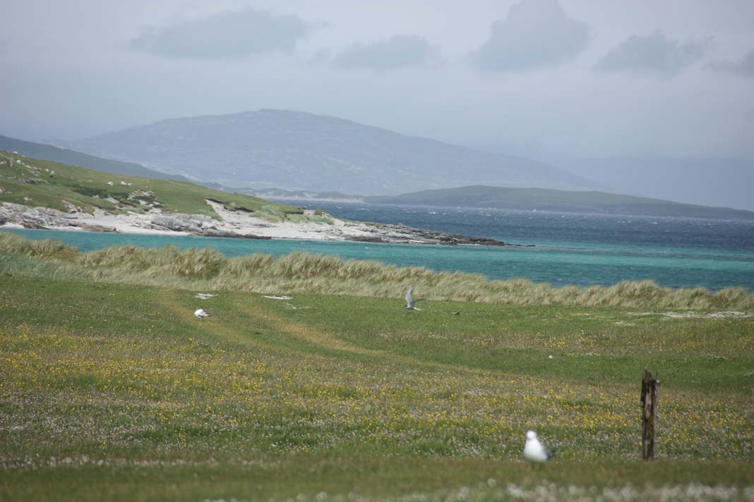 Turquois Beach on Berneray