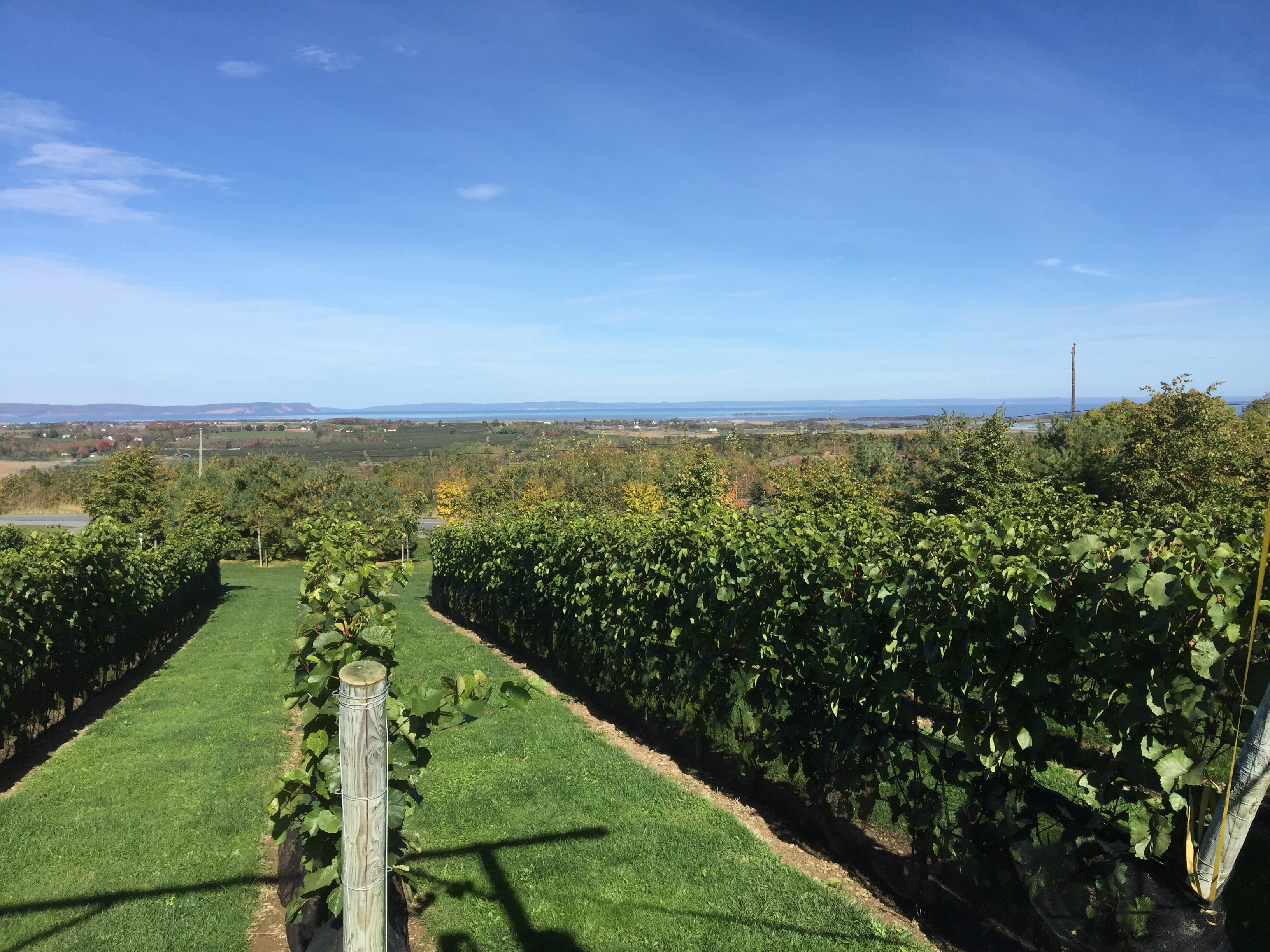 Beautiful fall day