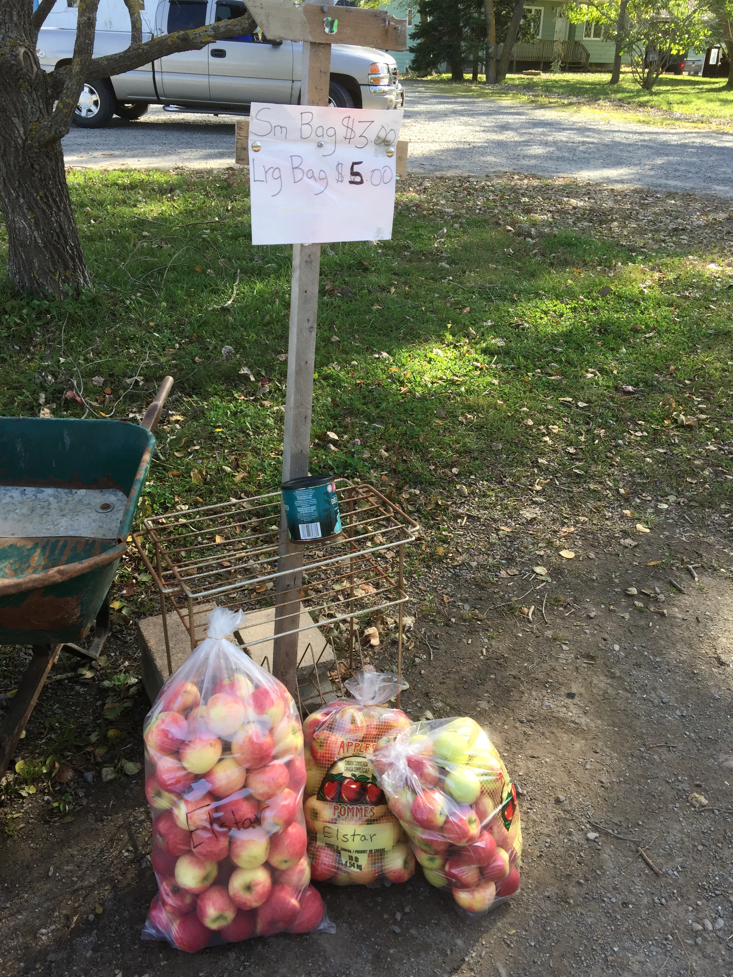 $3 bags of elstar apples