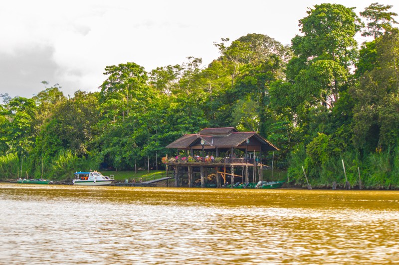 Sukau Rainforest Lodge along the Kinabatangan River in Borneo