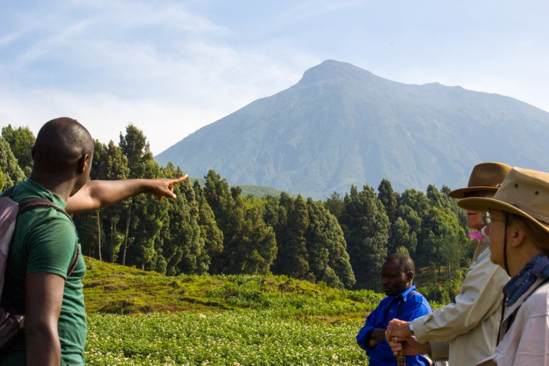 Guide pointing the way up the mountain to see mountain gorillas in Rwanda