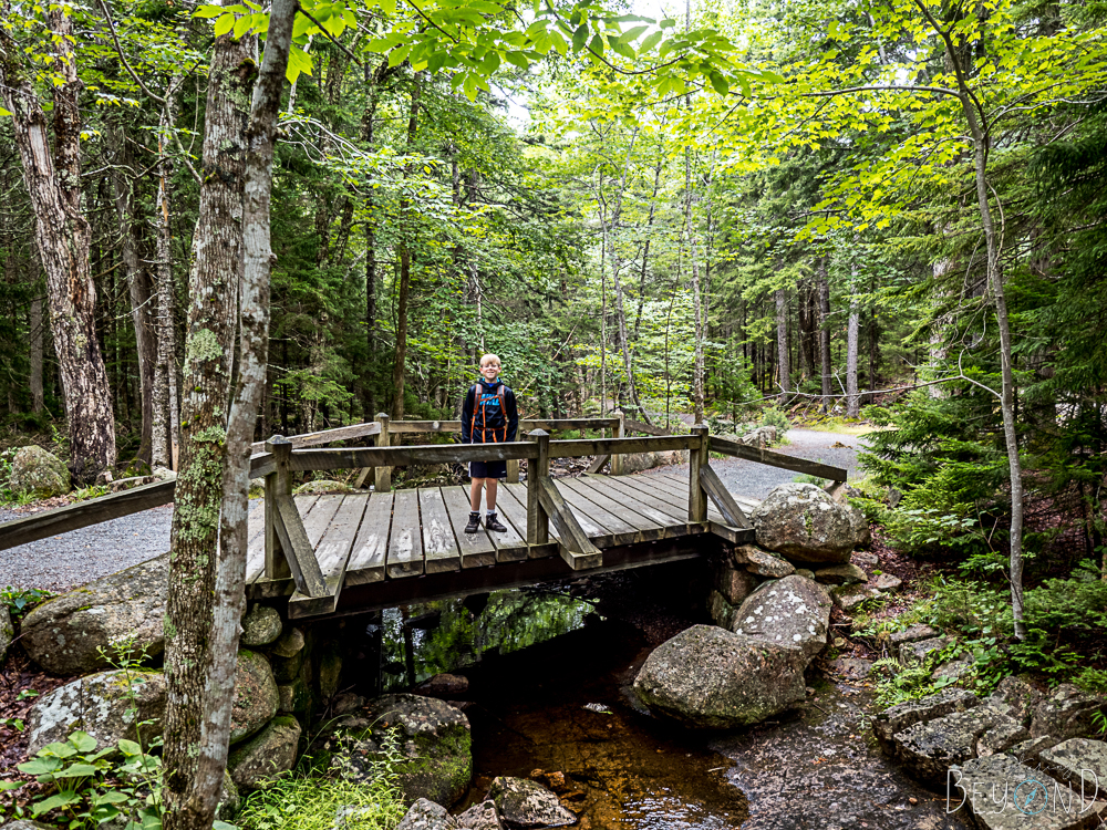 Acadia National Park Jordan Stream Path