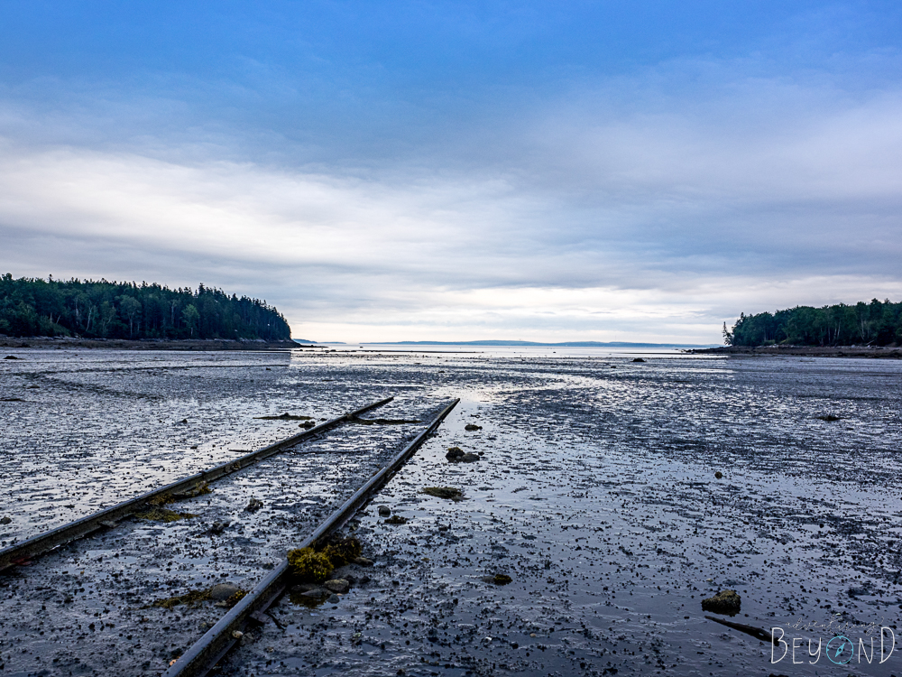Duck Cove