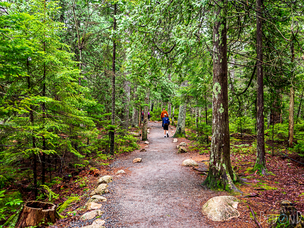 Jordan Pond Path