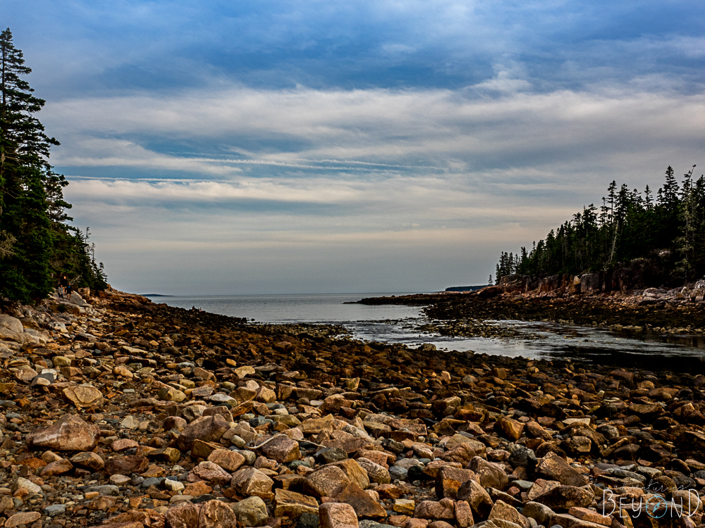 Acadia National Park Ship Harbor Trail