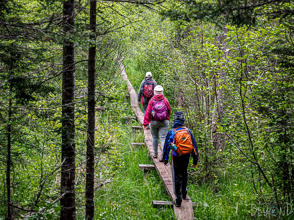 Tobin Harbor Trail