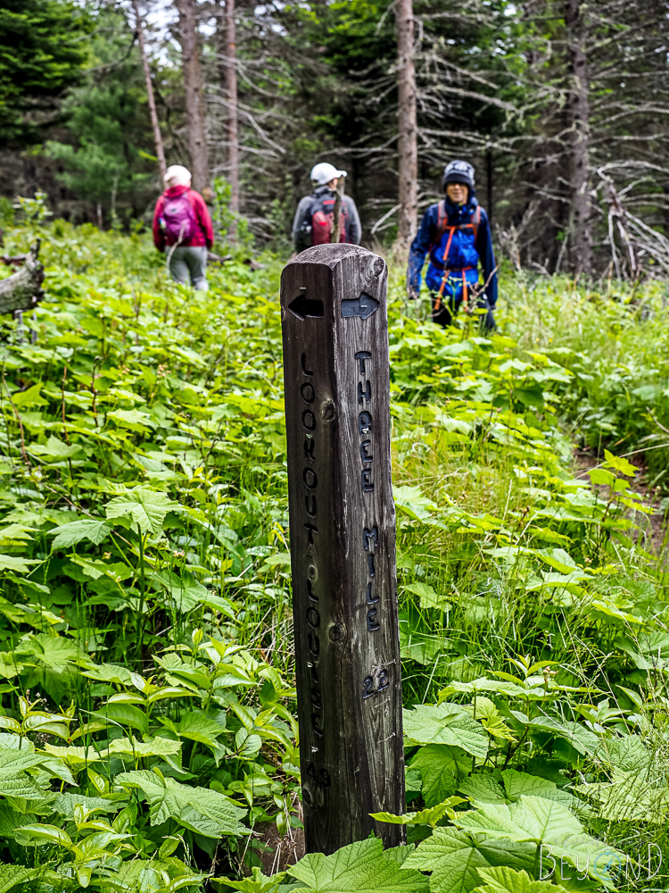 Trail Marker