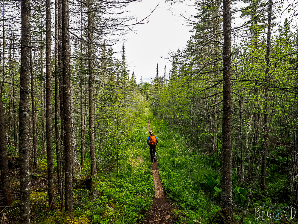 Mount Franklin Trail