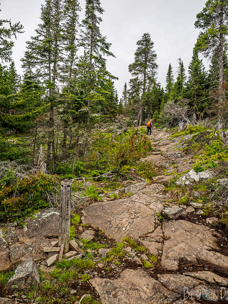 Mount Franklin Trail