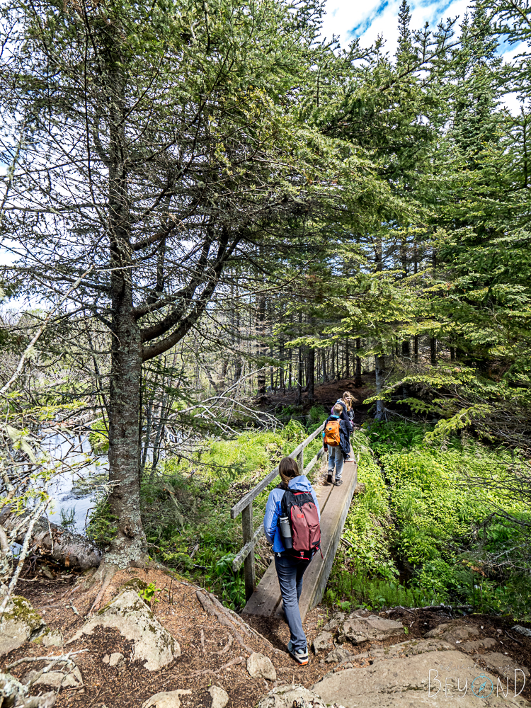 Scoville Point Trail