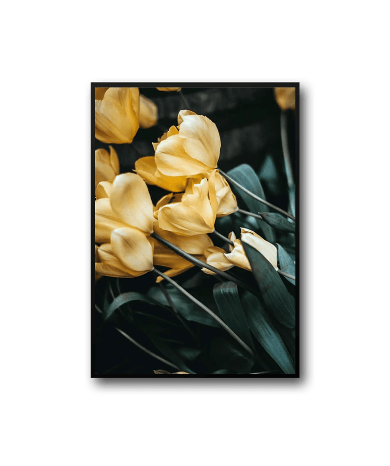 product12