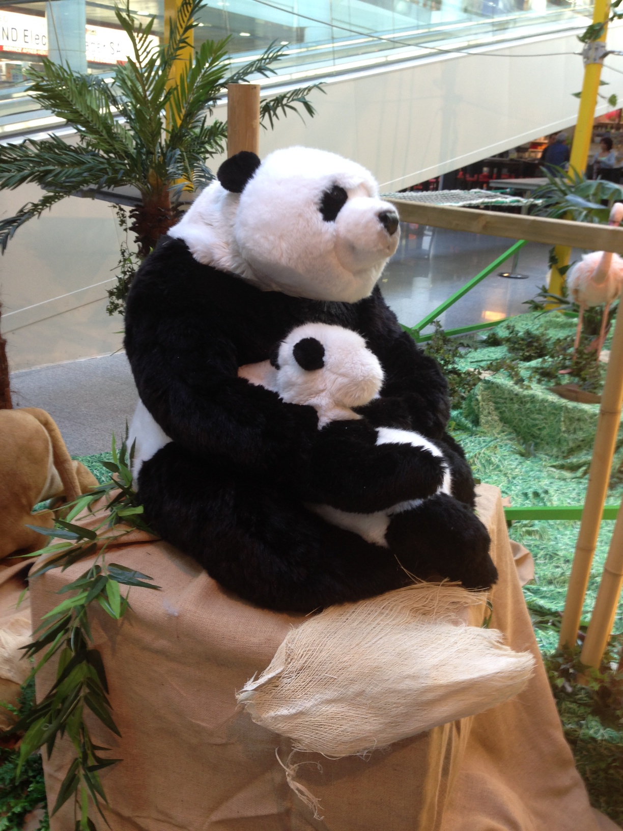 parcours_combattant_2