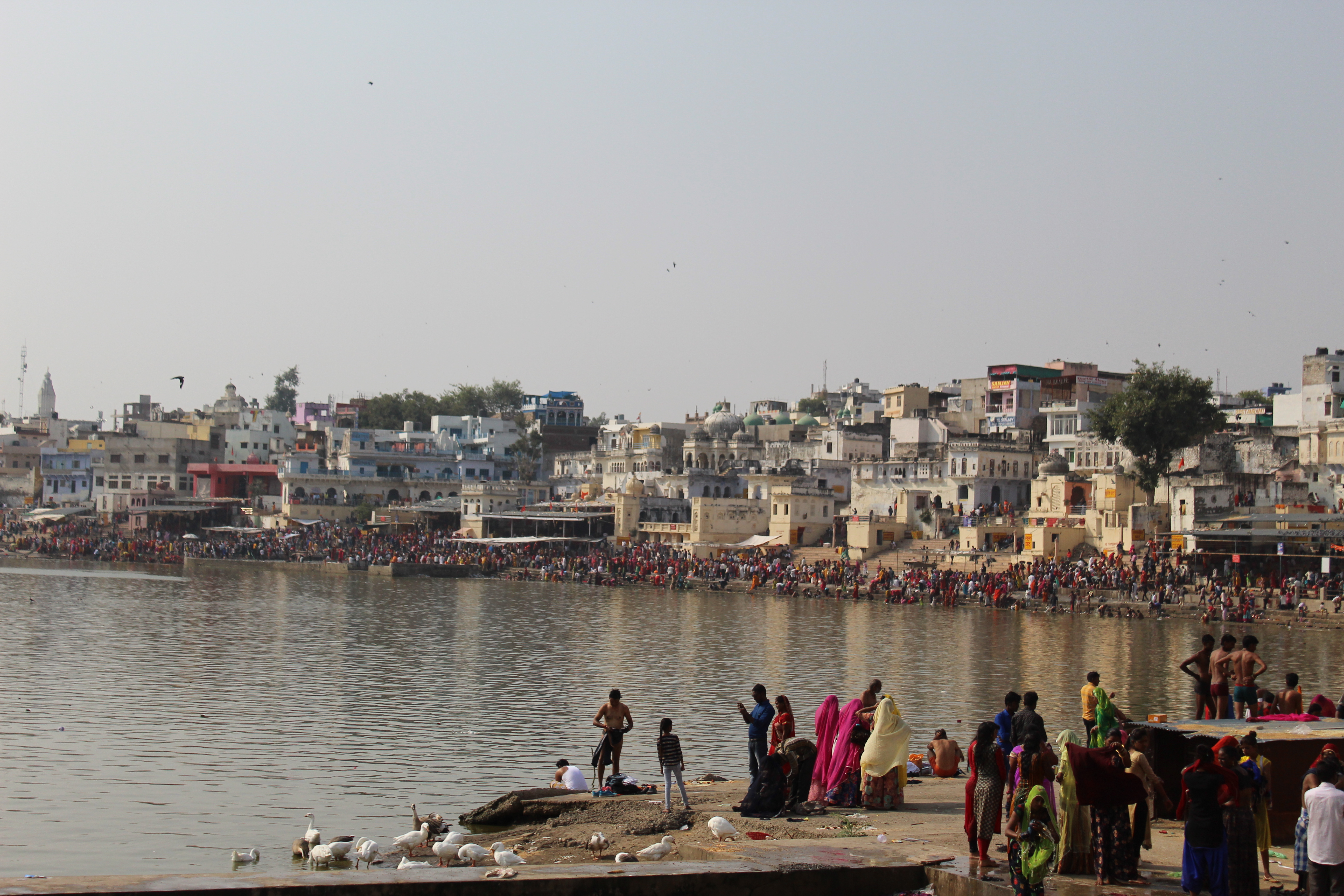 Bathing ceremony in the holy lake of Pushkar