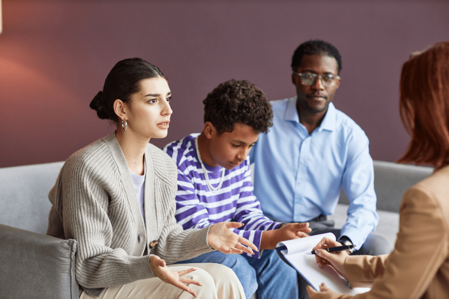 Systemic Family Therapy