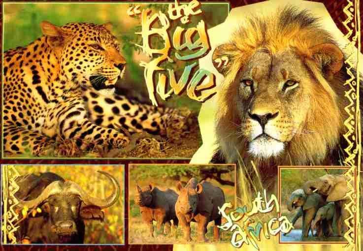 The Big 5 Aesthetics Of A Daily Life