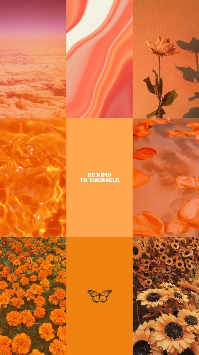 Pastel orange aesthetic wallpapers · 160+ images 🍊🌞🧡