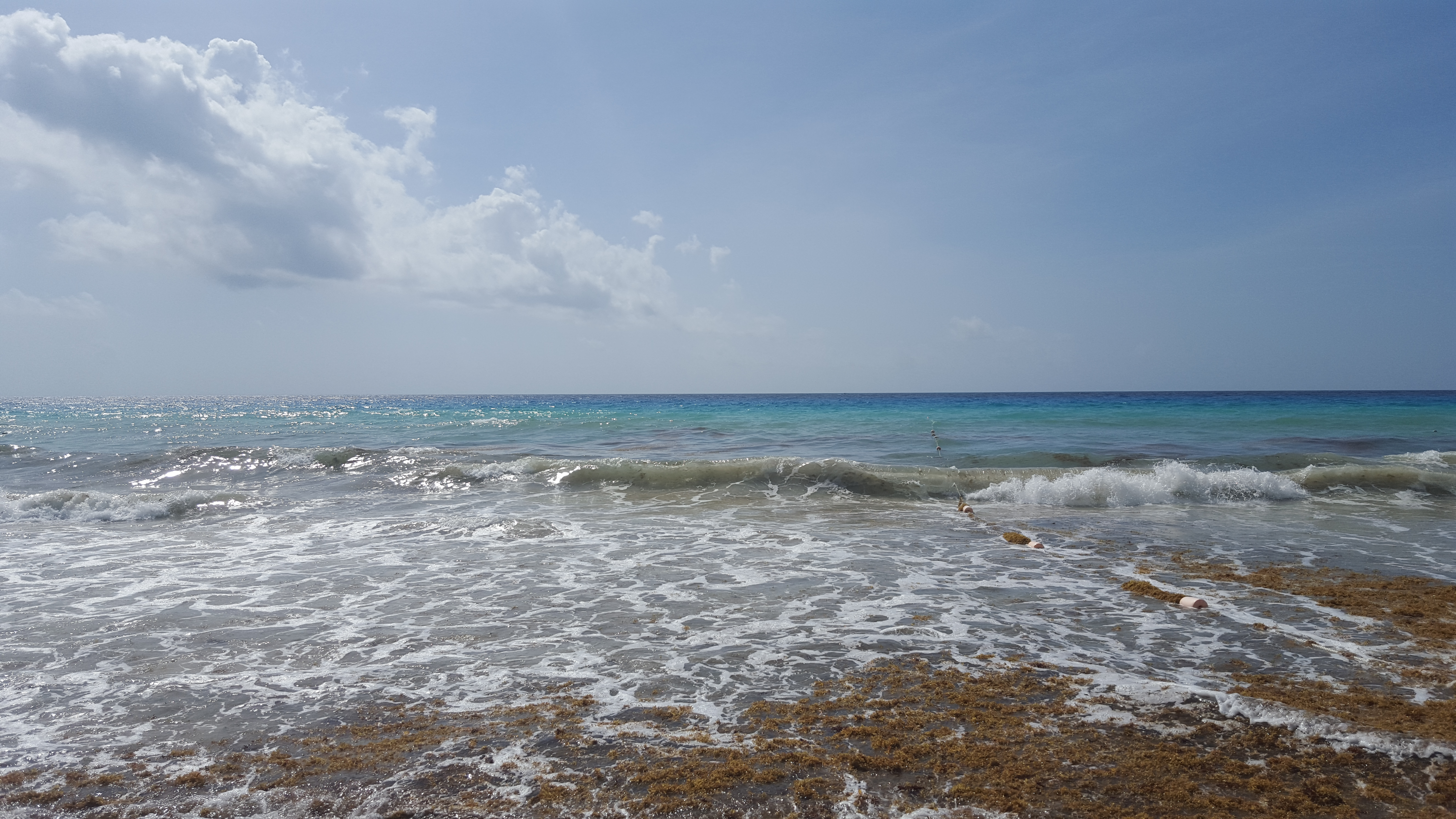 20150716_100048(0)