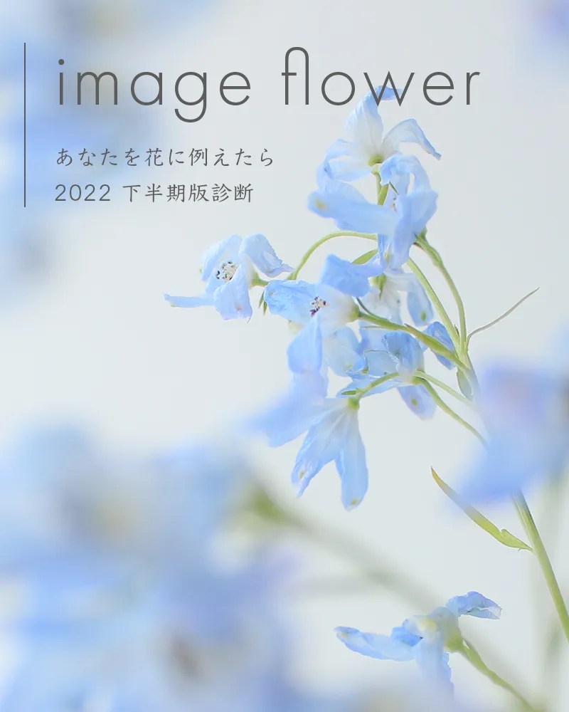 フラワー診断】あなたを花に例えたら?|花のように美しい花柄の革製品ブランド - AETHER(エーテル)公式