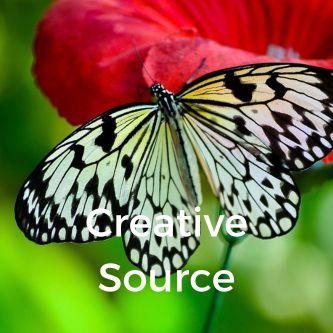 Creative Source Page - Premium Light Design Gallery - Ultra HD