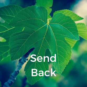 Fowind Send Back - Best Light Images in Full HD