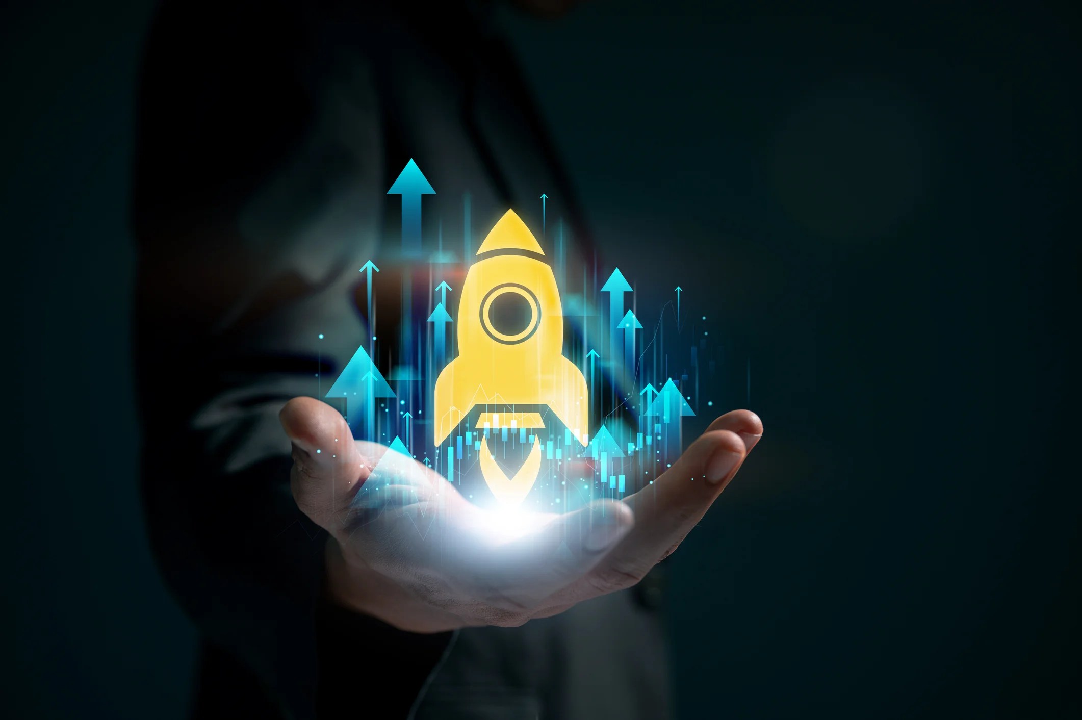 Web Application Development