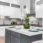 Project-Encino-04