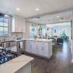 Project-LosAngeles-C-08