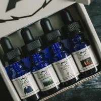 Beard Oil Sample Box