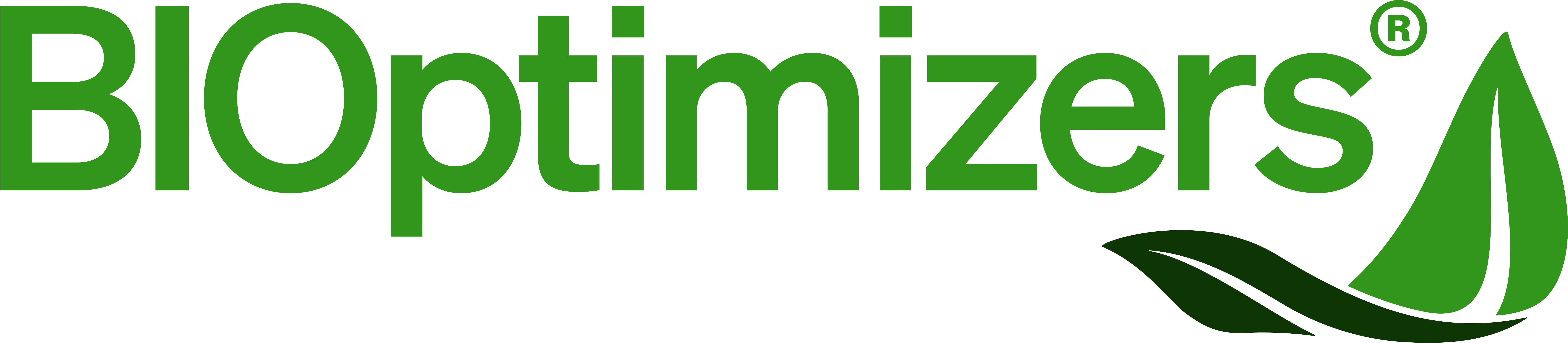 BIOptimizers
