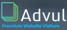 AdVul Premium Website Visitors