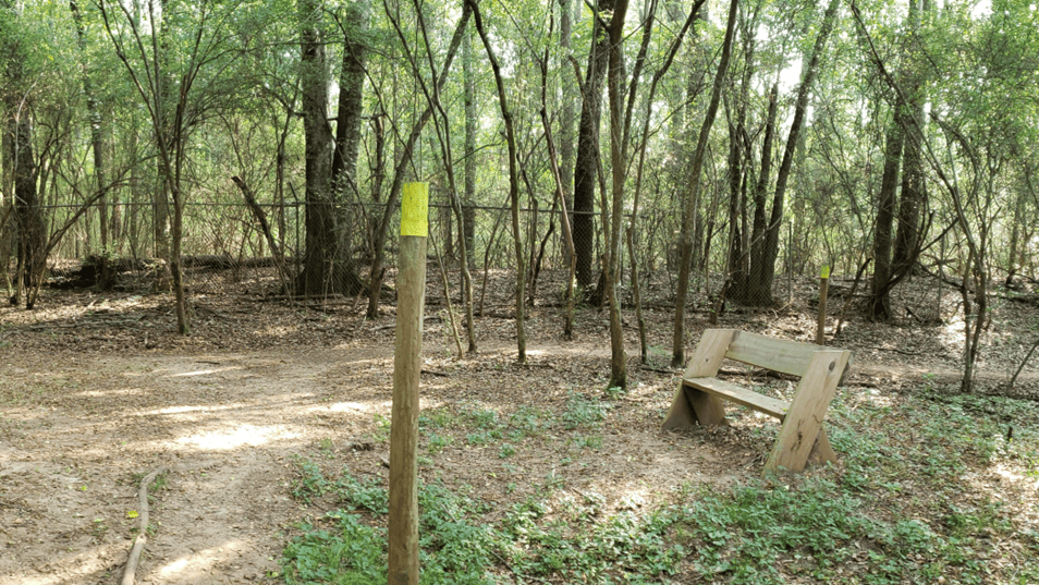 Out and about: How to find walking routes