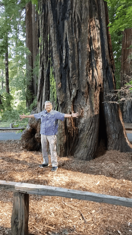 A mile (or so) in my shoes: Visiting Redwood National Park