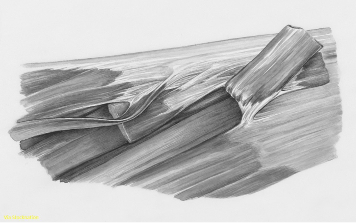 Notes and quotes: Getting the urge to exercise